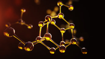 Why soil biology reminds me of motor oil.