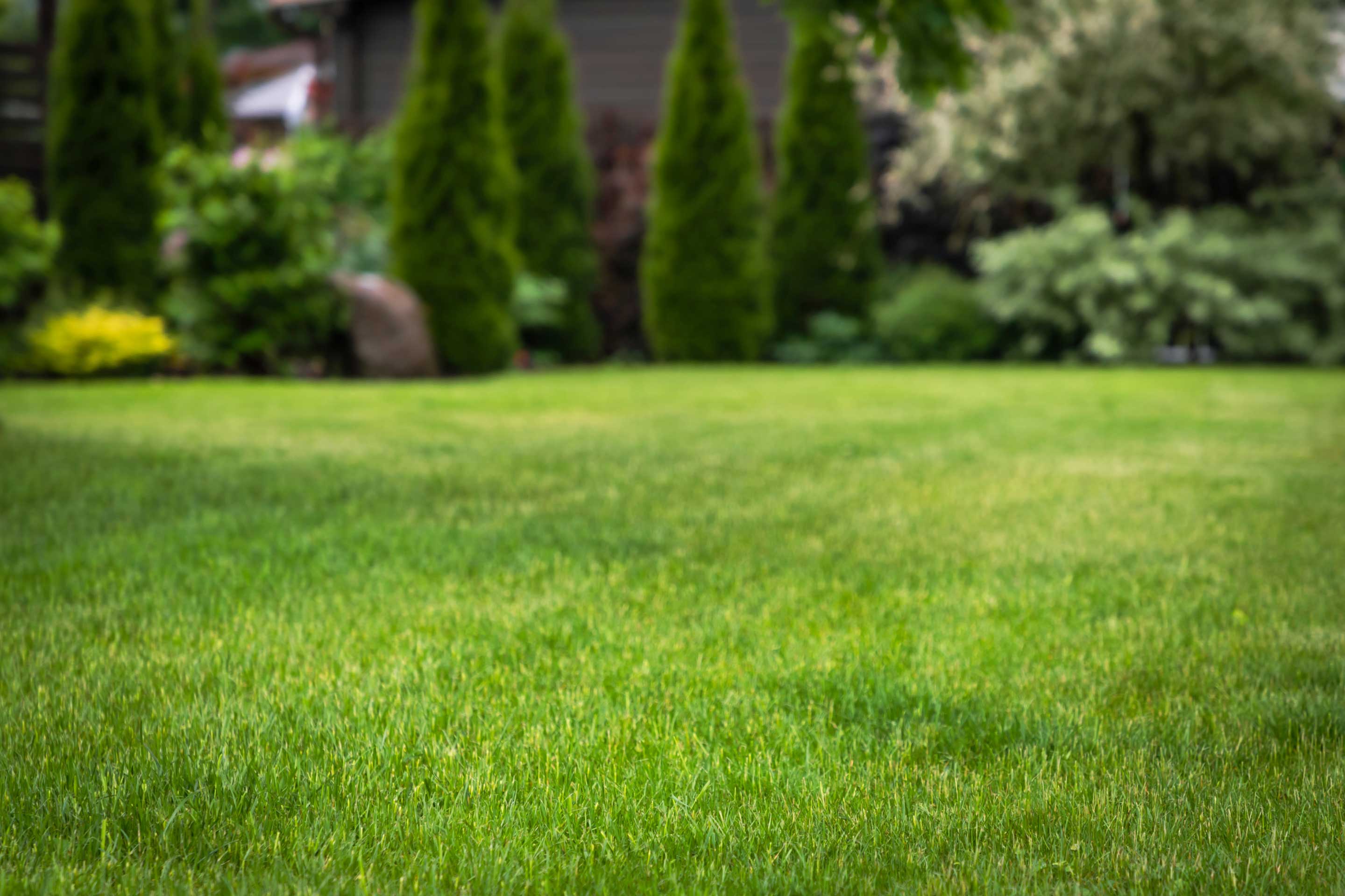 Garden and Lawn Amendments