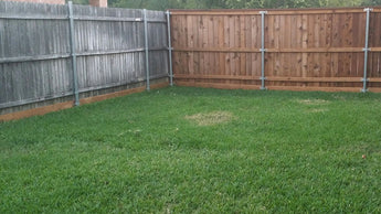 How will fertilizer affect dog urine damaged lawns?