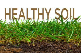 Healthy soil will improve the growth of your lawn.