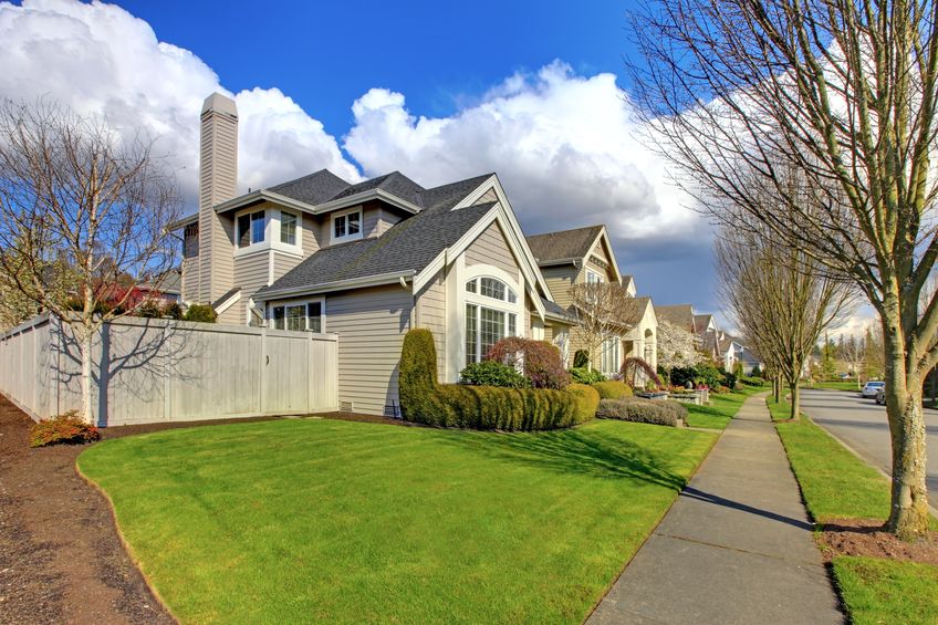 LawnMutt Soil Amendment for a Medium Lawn (800-1600 sq ft) 2 Application Treatment For Dog Urine Lawn Repair and Protection.