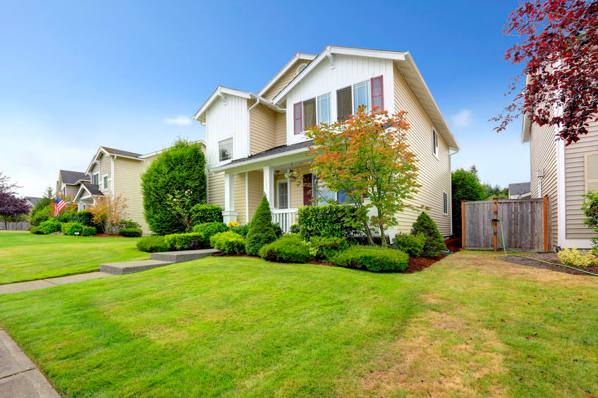 LawnMutt Soil Amendment for a Medium Lawn (800-1600 sq ft) 2 Application Treatment For Dog Urine Lawn Repair and Protection.